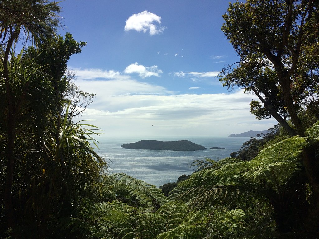 Read more about the article La Queen Charlotte Track