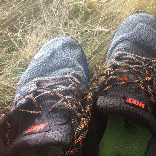 Souliers: Nike Wildhorse 3
