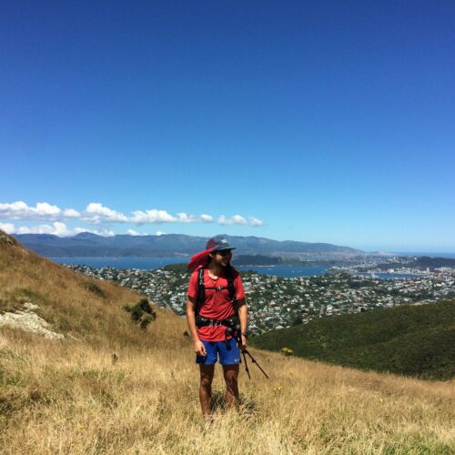 Wellington, nous voici ! 