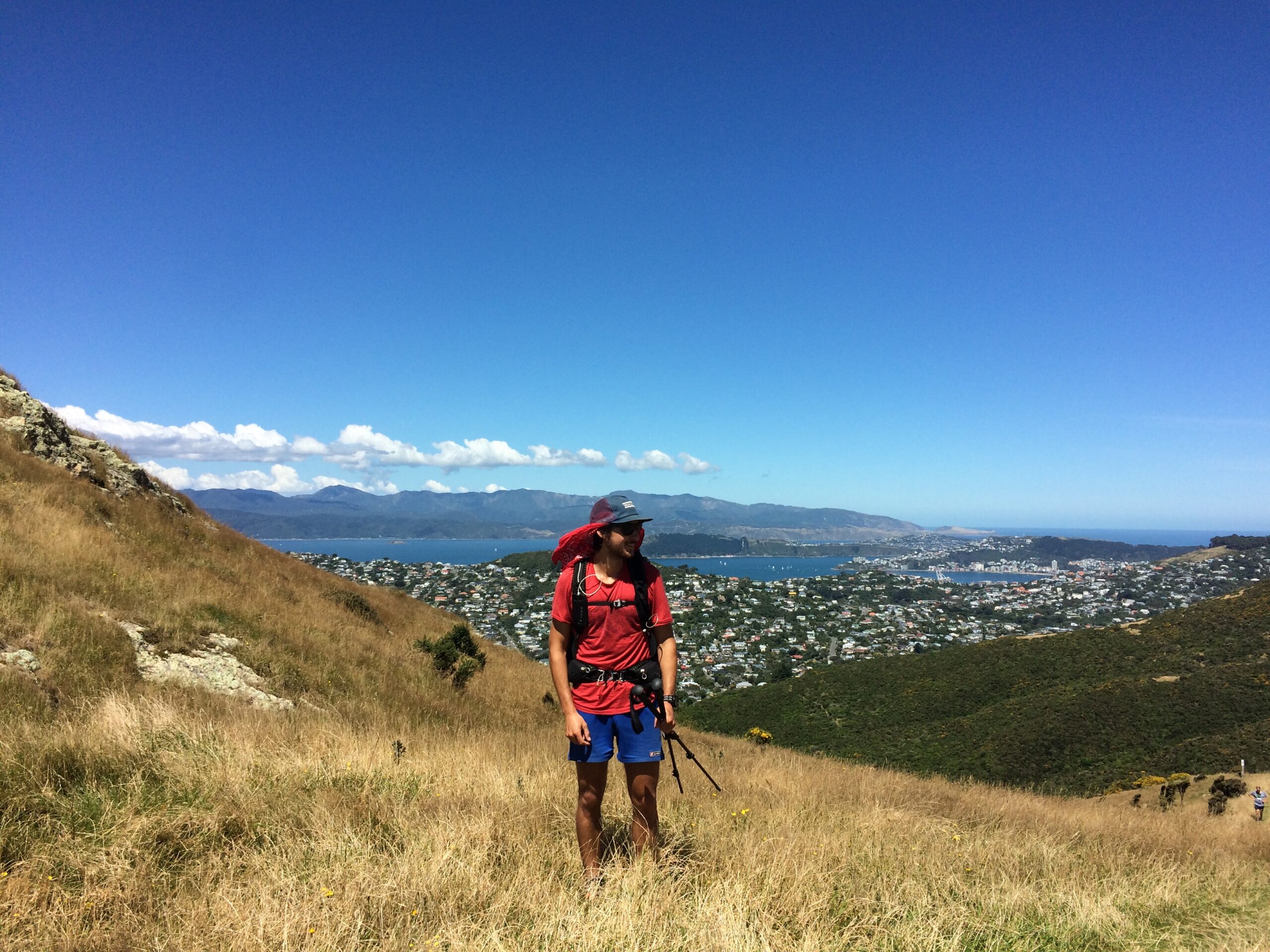 Read more about the article Wellington, nous voici ! 
